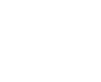 simNET